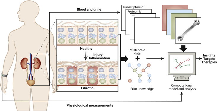  Big science and big data in nephrology