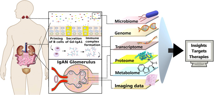  How will artificial intelligence and bioinformatics change our understanding of IgA Nephropathy in the next decade?