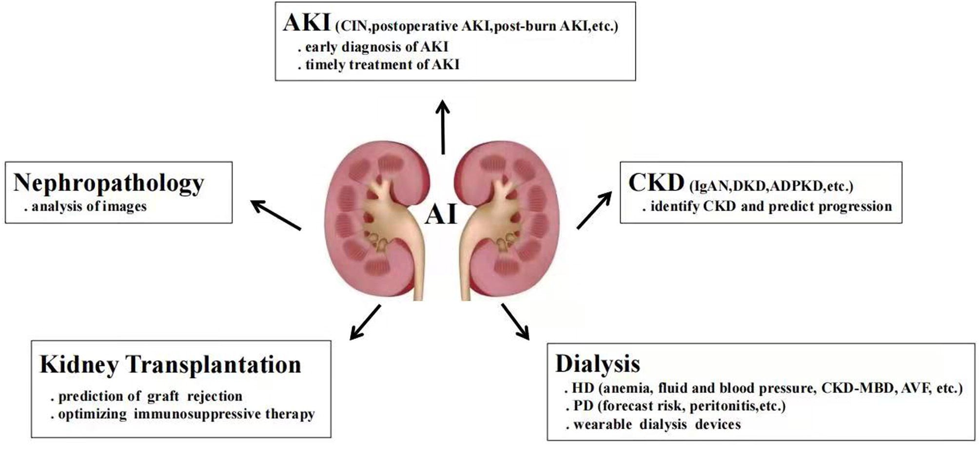 Artificial Intelligence in Renal Disease: How can it help nephrologists?