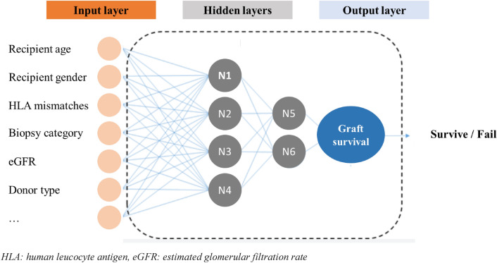  Toward generalizing the use of artificial intelligence in nephrology and kidney transplantation