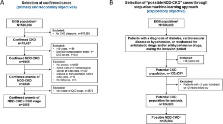  Incidence, prevalence, and treatment of anemia of non-dialysis-dependent chronic kidney disease: A retrospective database study in France