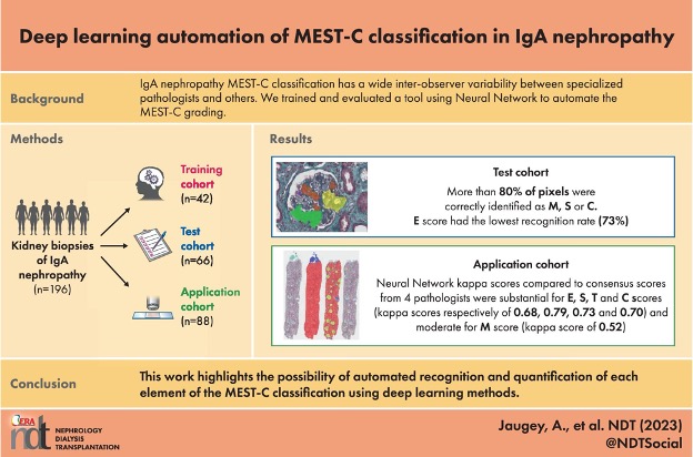  Deep learning automation of MEST-C classification in IgA nephropathy